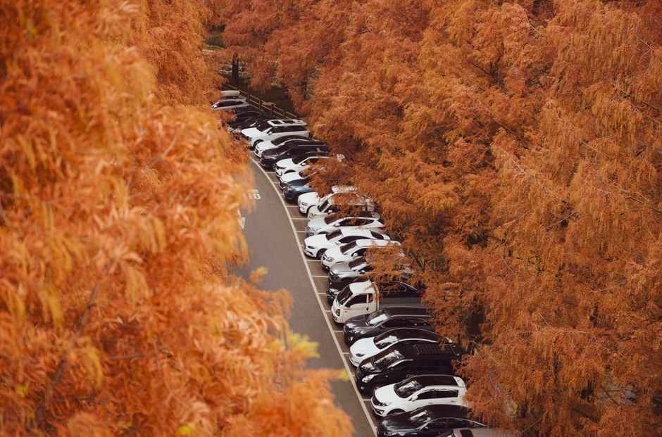 Elevated view of cars in a parking lot surrounded by vibrant autumn trees. Photo by 정규송 Nui MALAMA on Pexels