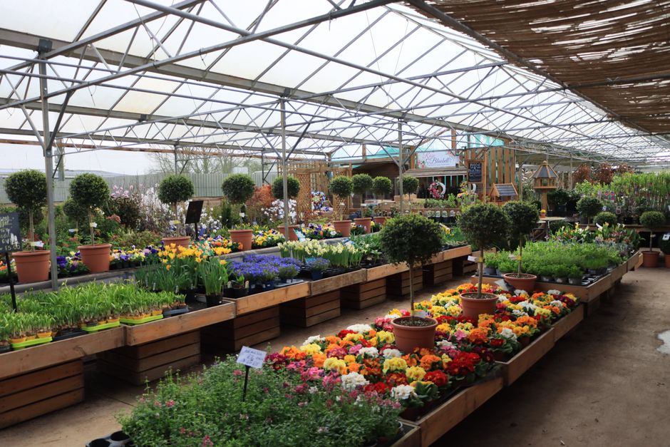 Garden Centres Google Ads audit checklist for the UK