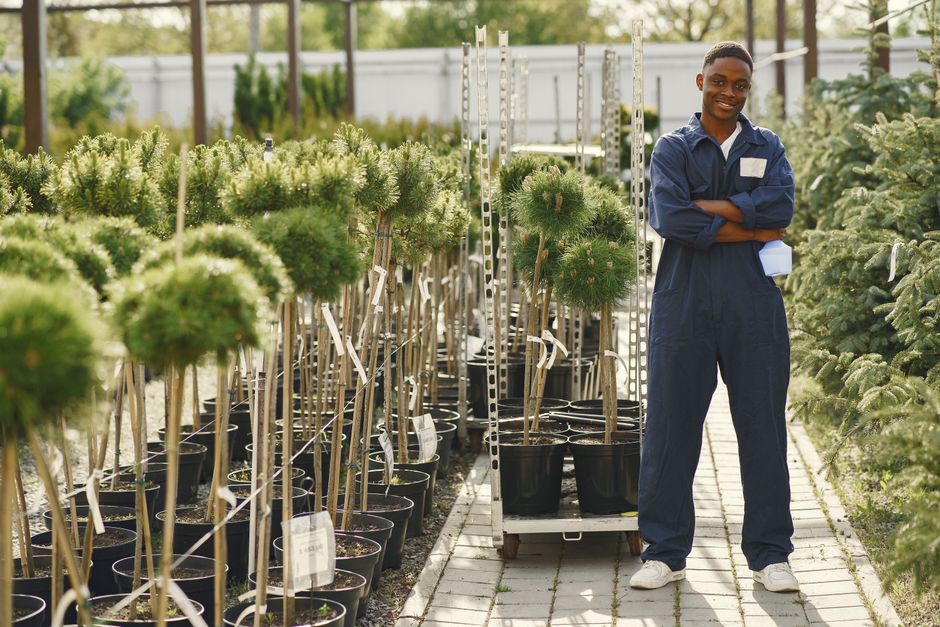 Garden centres Google Ads audit checklist for the UK