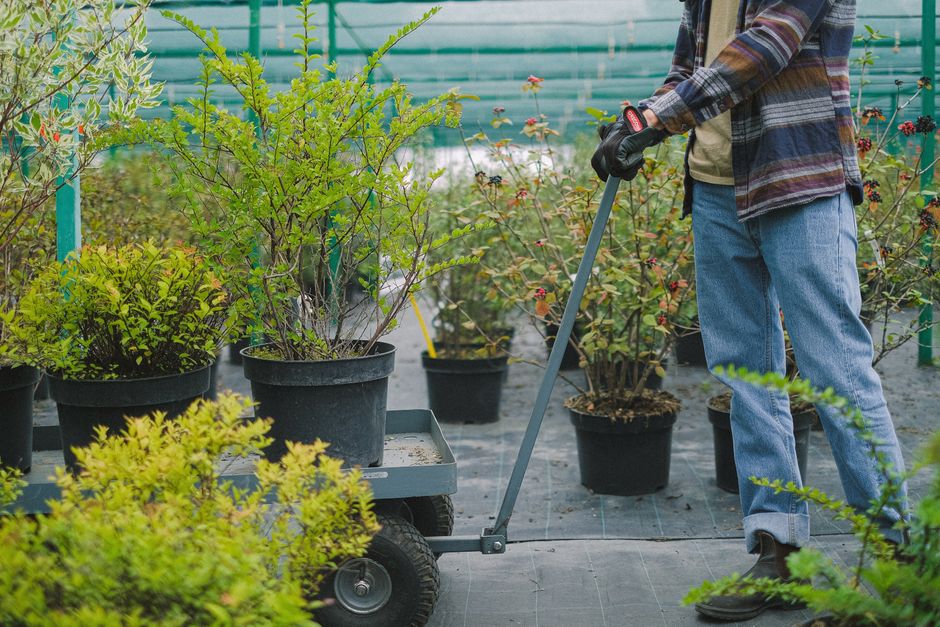 Garden Centres paid search in the US: intent, offers, and response speed