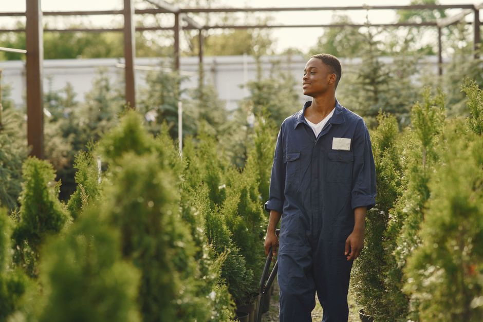 Google Ads benchmarks for US landscaping PPC: what CPCs, CPLs, and lead quality really look like