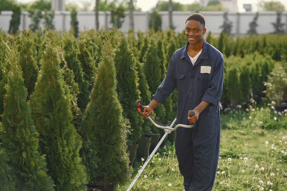 Google Ads benchmarks for US landscaping PPC: what CPCs, CPLs, and lead quality really look like