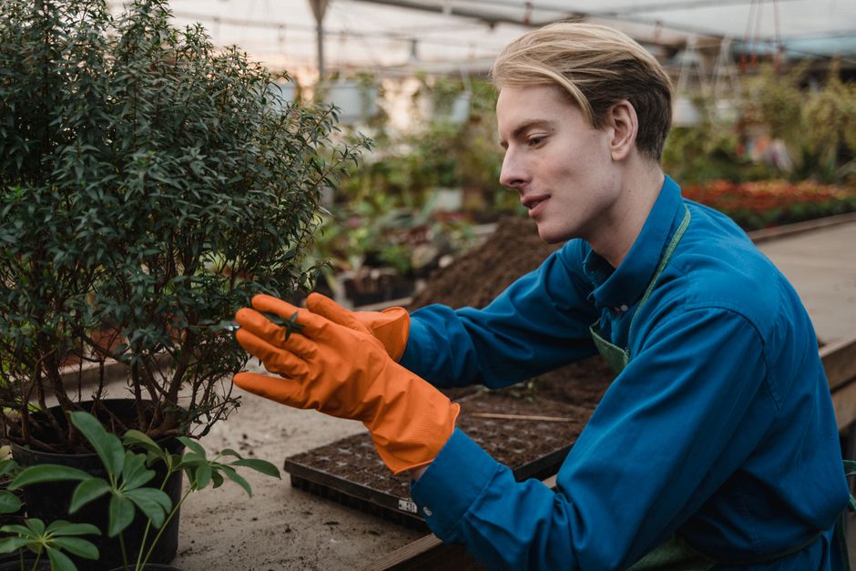 Google Ads that book Garden Centres jobs vs ads that only fill forms in Australia