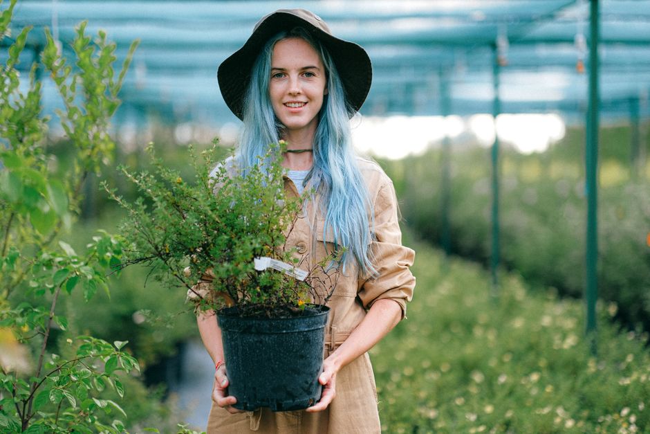 Google Ads that book Garden Centres jobs vs ads that only fill forms in Australia