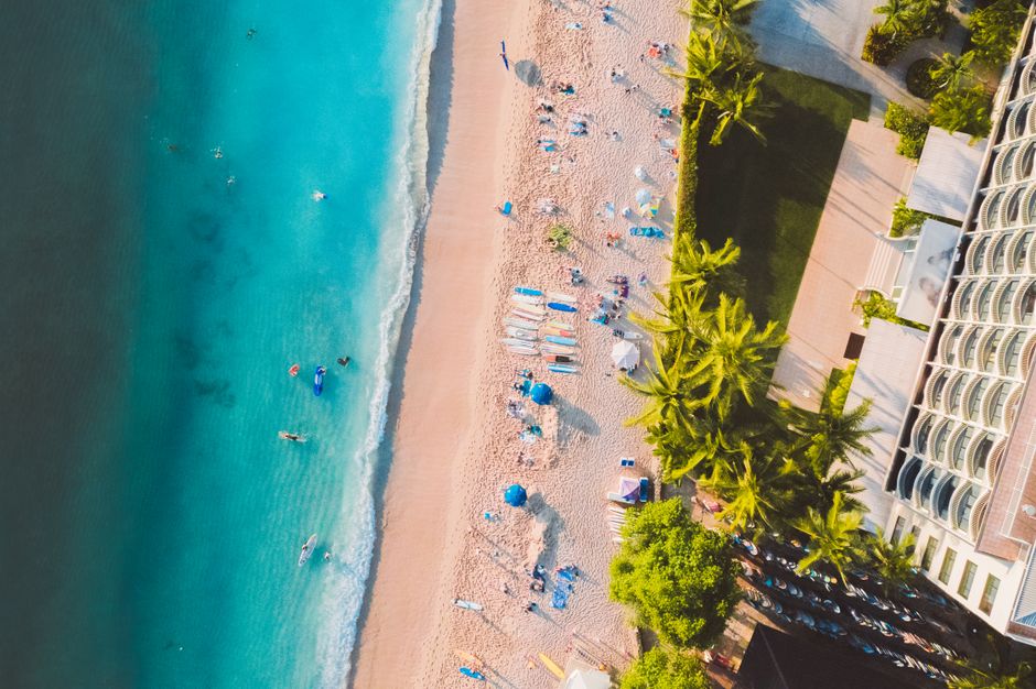 How organic search books hospitality work in Australia