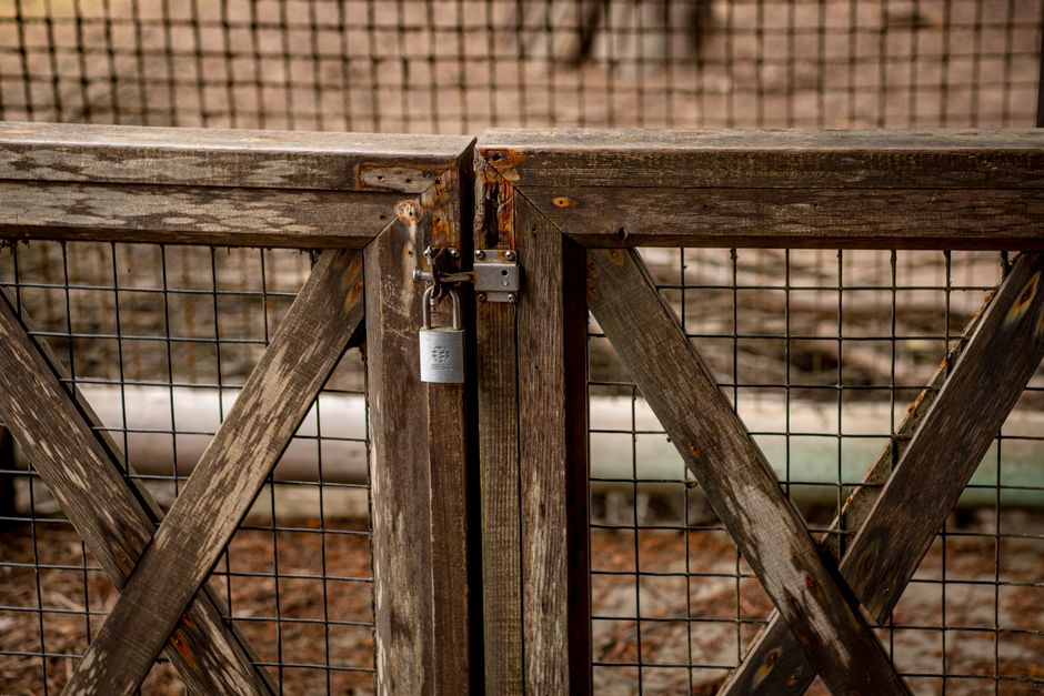 How UK fencing and gate companies turn Facebook and Instagram ads into booked site visits