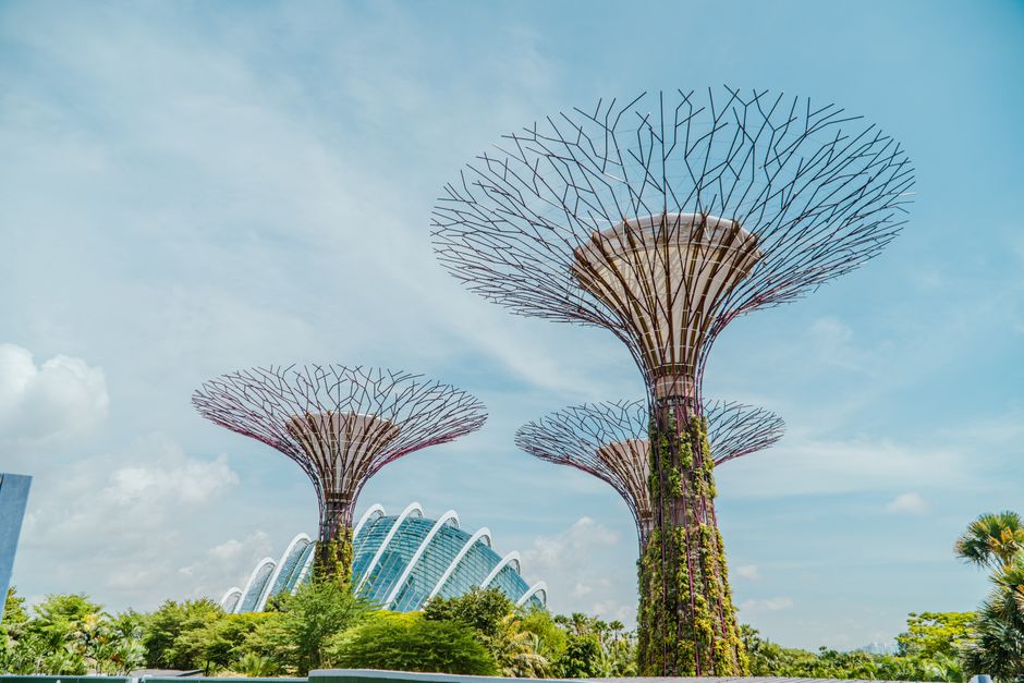 Setting up Google search ads that actually book landscaping jobs in Singapore