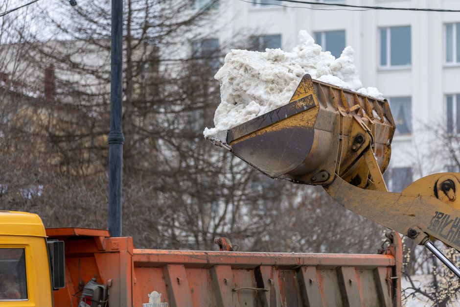 How UK septic firms turn local SEO into booked work