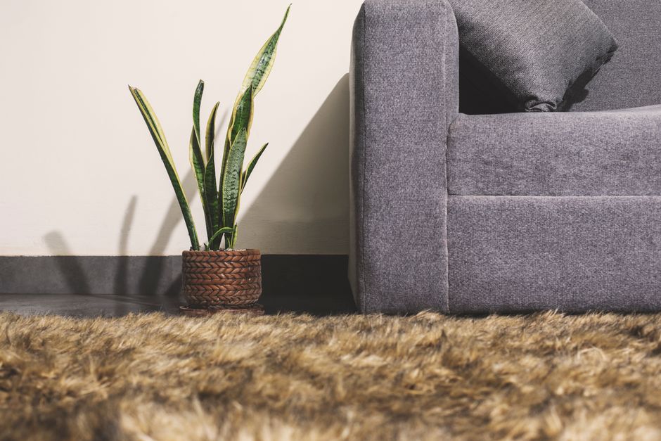 Lead tracking errors carpet firms in Singapore make