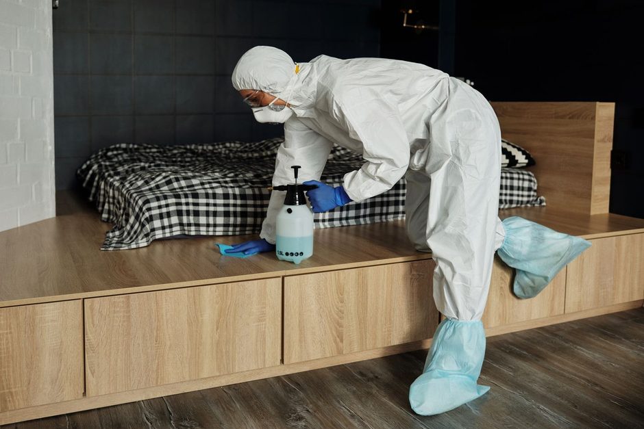 Meta Ads mistakes costing UK pest control companies leads