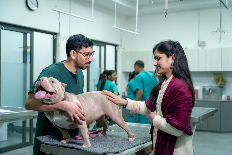 How to Turn Veterinary Clinic Web Inquiries into Booked Appointments