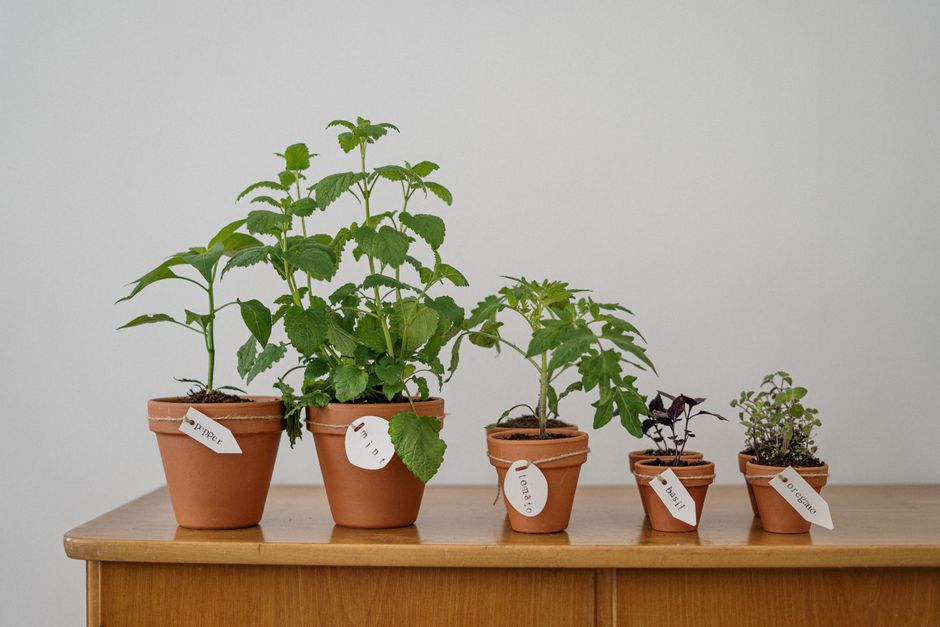 How Australian landscapers can turn Google Ads into a booking system, not a lead-count trophy