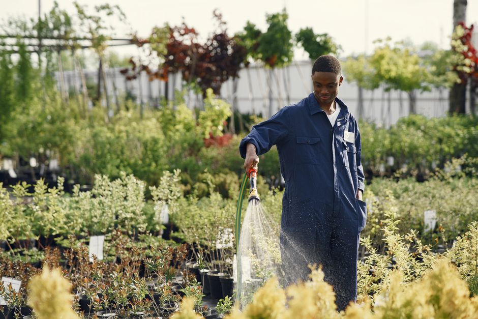 How to build a paid search system for AU landscaping companies