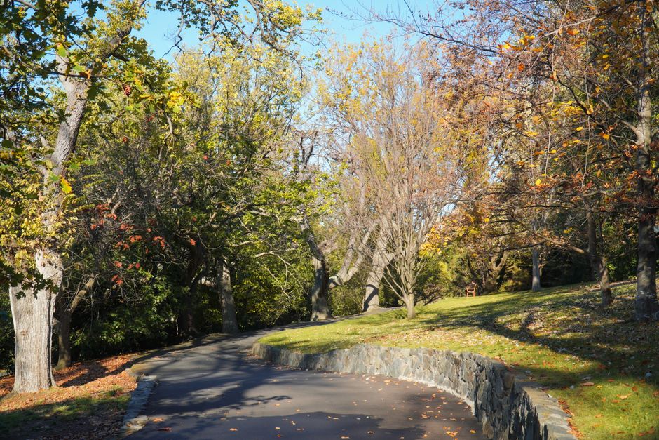 How to build a paid search system for paving and driveway le