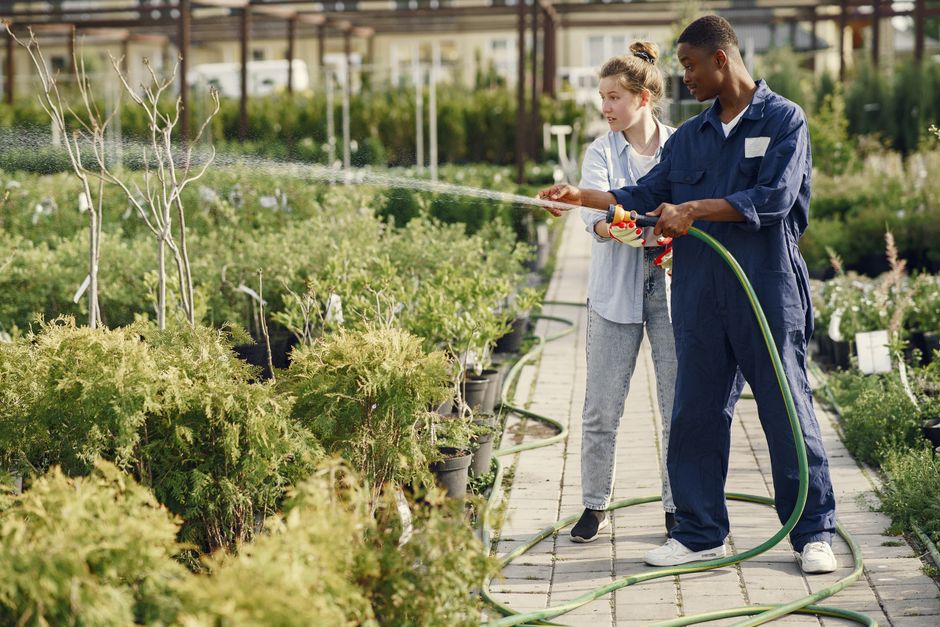 PPC for garden centres Australia that fills collect bays