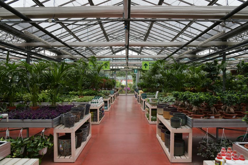PPC for Garden Centres: How to Protect Seasonal Spend and Fill Trolleys, Not Bounce Reports