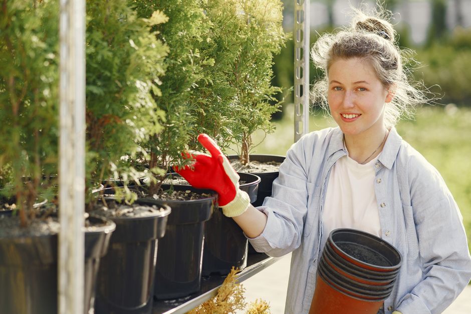 Google Ads for Garden Centres in Singapore: A Practical PPC Guide