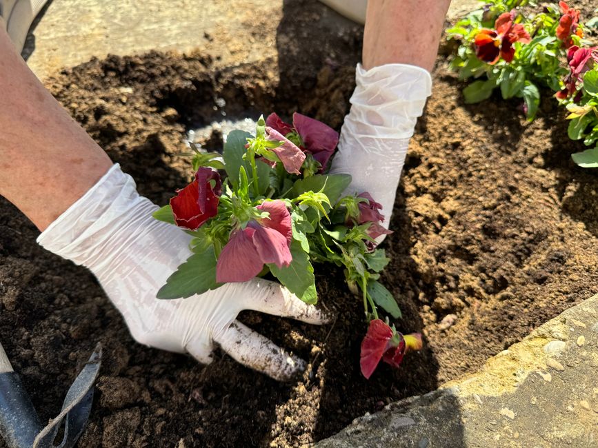 PPC for landscaping and gardening companies