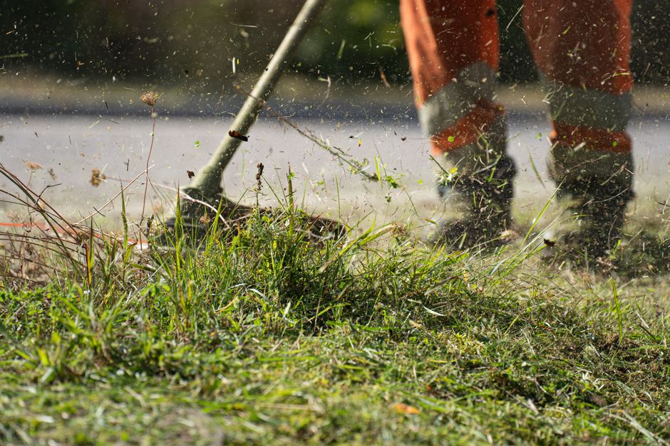 Close-up of a grass cutter trimming green grass with flying clippings outdoors. Photo by Pascal Küffer on Pexels