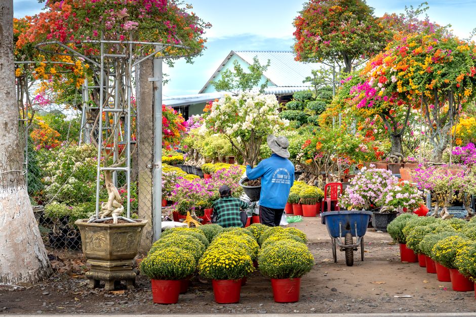 Photo by Quang Nguyen Vinh on Pexels Two gardeners tend to a colorful garden filled with diverse plants and flowers in full bloom. Photo by Quang Nguyen Vinh on Pexels
