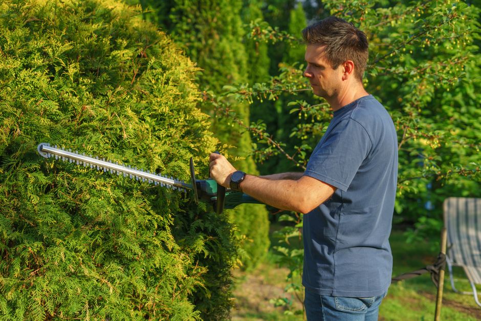Photo by Aleksander Dumała on Pexels Man trimming hedge with electric trimmer in a sunny garden. Photo by Aleksander Dumała on Pexels