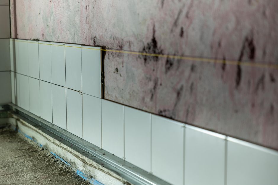 Google Ads that actually book mould remediation jobs: UK scenarios and fixes