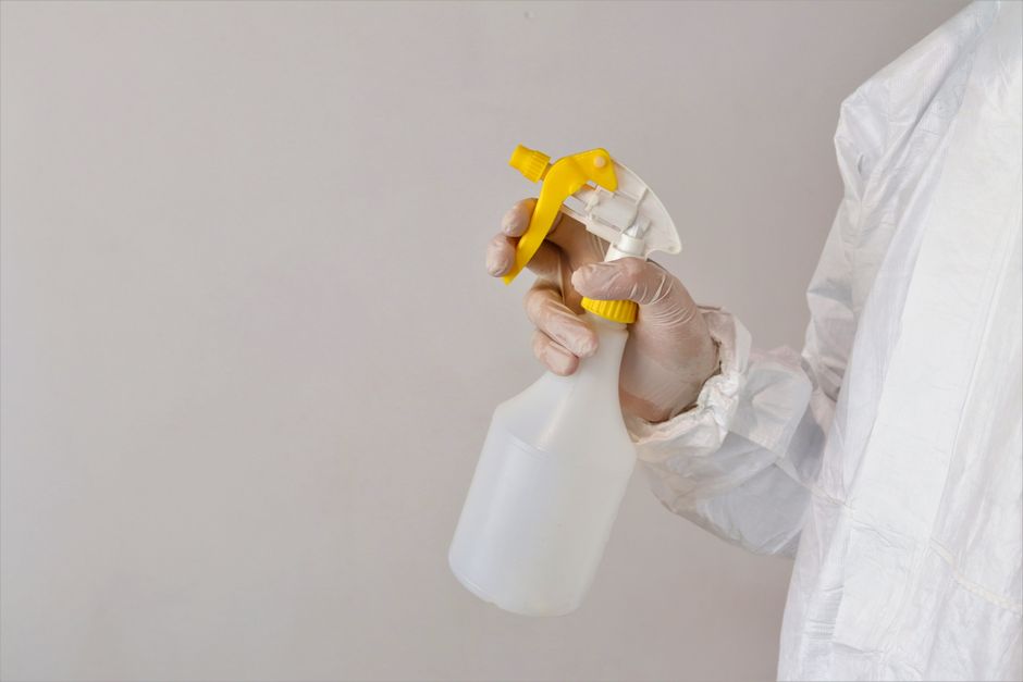 How search ads fill the calendar for mould remediation busin