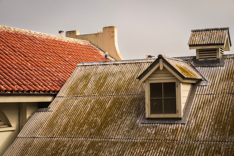 SEO for roofing companies in the UK that books surveys