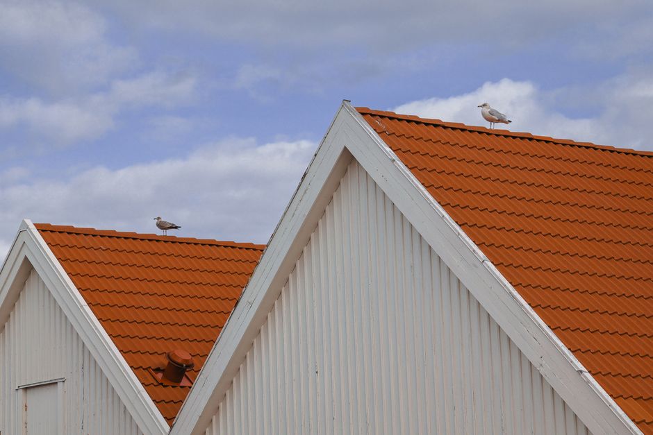 Understanding search demand for Roofing services in the US