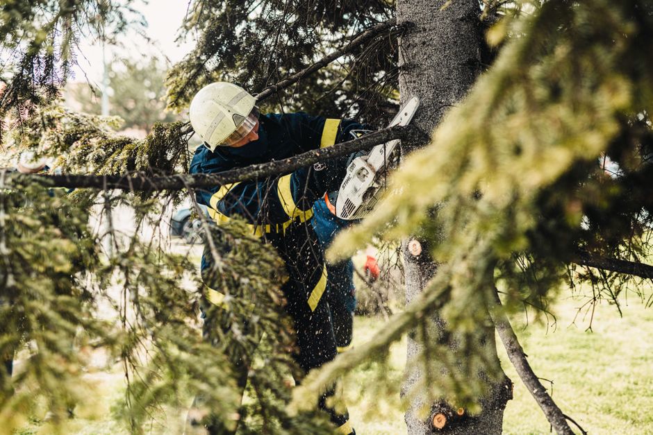 What good SEO looks like for UK tree surgeons and arborists