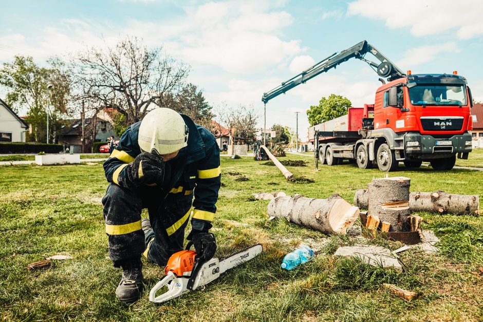 What good SEO looks like for UK tree services firms