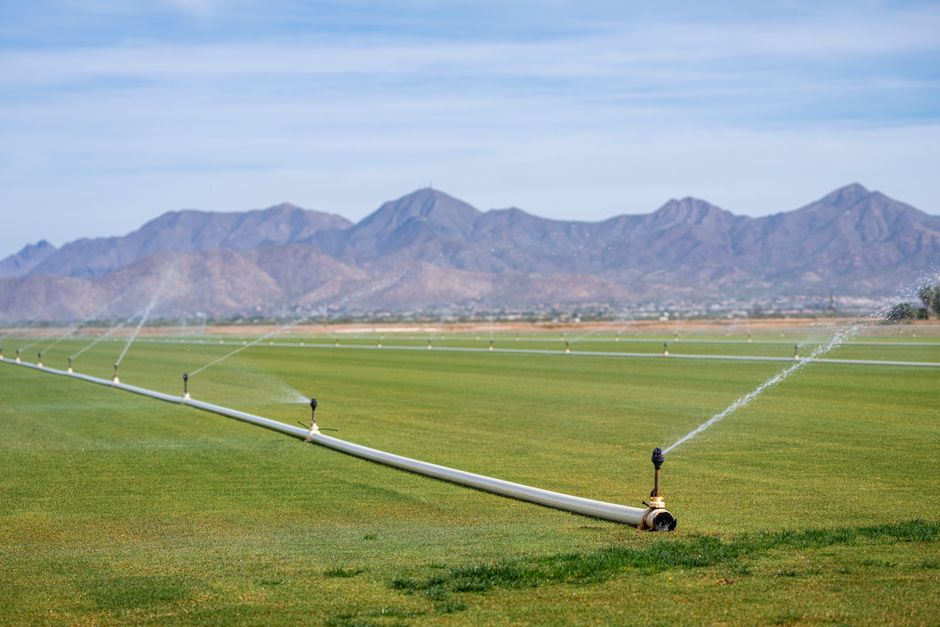 Why SG irrigation marketers cannot trust lead reports