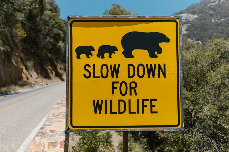 Why slow landing pages waste paid clicks in Singapore