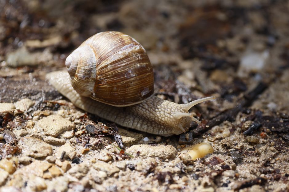 Why slow landing pages waste paid clicks in Singapore