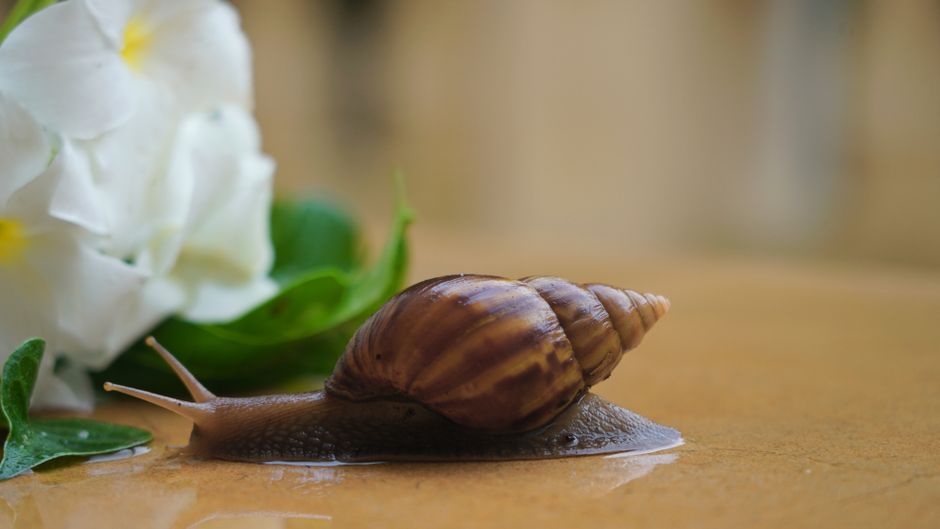 Why slow landing pages waste paid clicks in the UK
