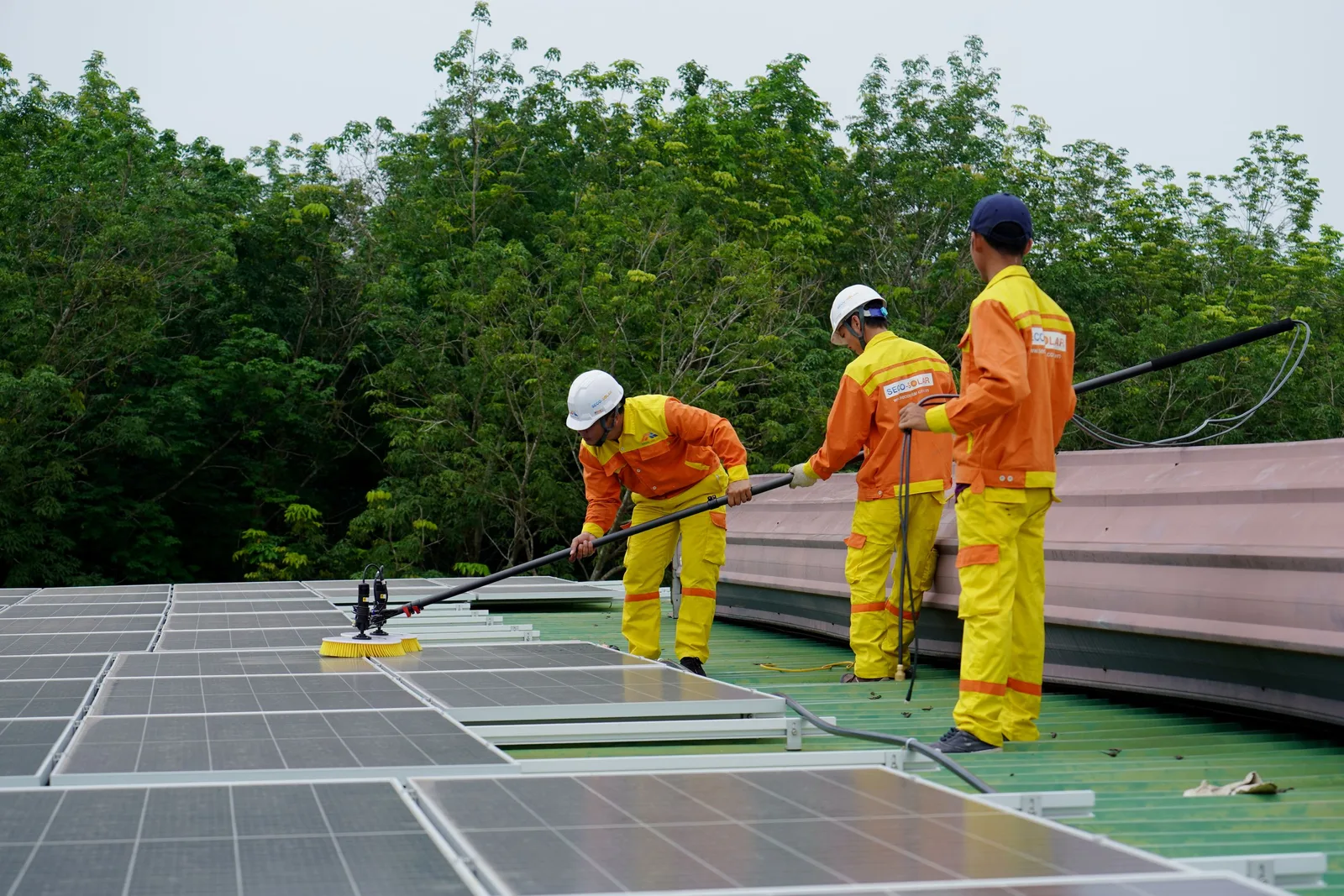 Two workers in orange hi-vis suits cleaning solar panels with long poles on a roof. Photo by Trinh Trần on Pexels