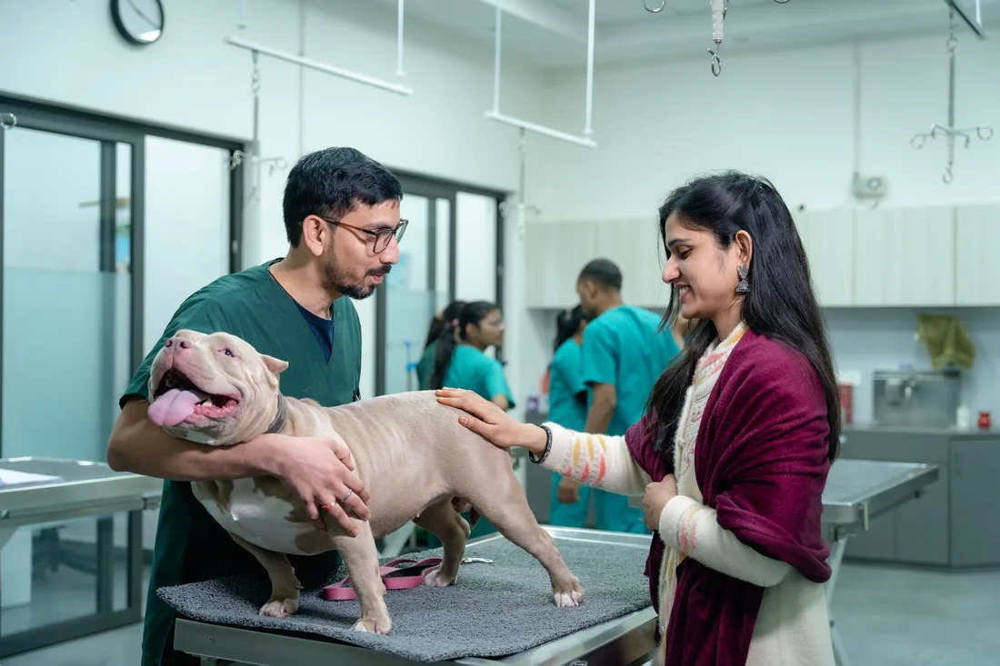 Woman and a veterinarian attending to a dog on an exam table in a bright clinic. Photo by DCC Pets on Pexels