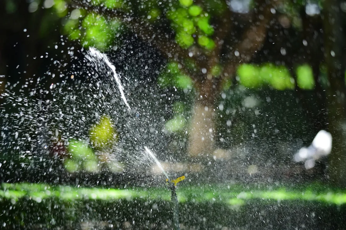 Close-up of a garden sprinkler watering a lush green lawn with sunlight creating sparkling water droplets. Photo by Sóc Năng Động on Pexels