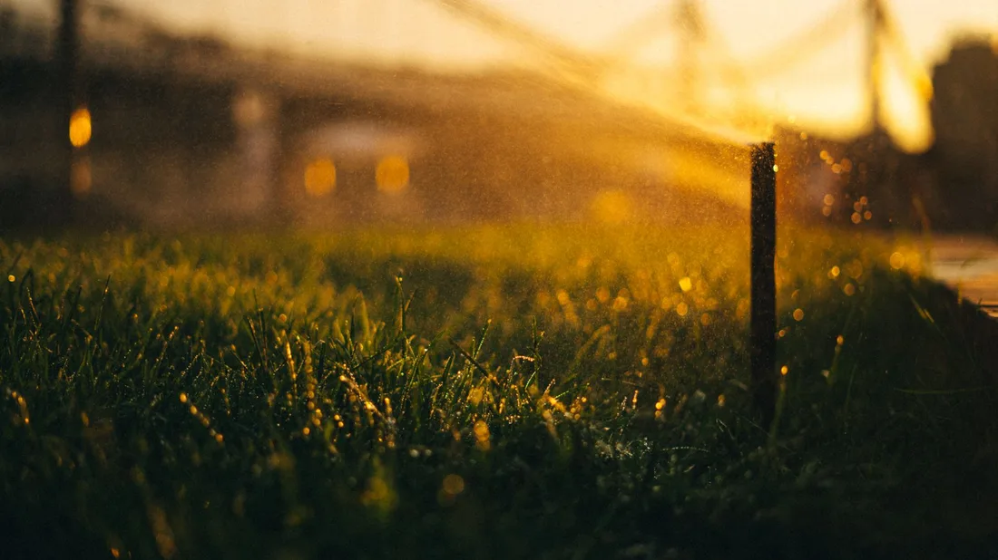 A sprinkler hydrates vibrant green grass during a sunny golden hour. Photo by Daria on Pexels