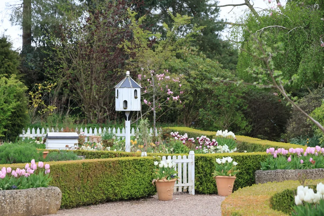 Landscaped garden with clipped hedges, flower beds and a white fence in the sunshine. Photo by Jan Wright on Pexels