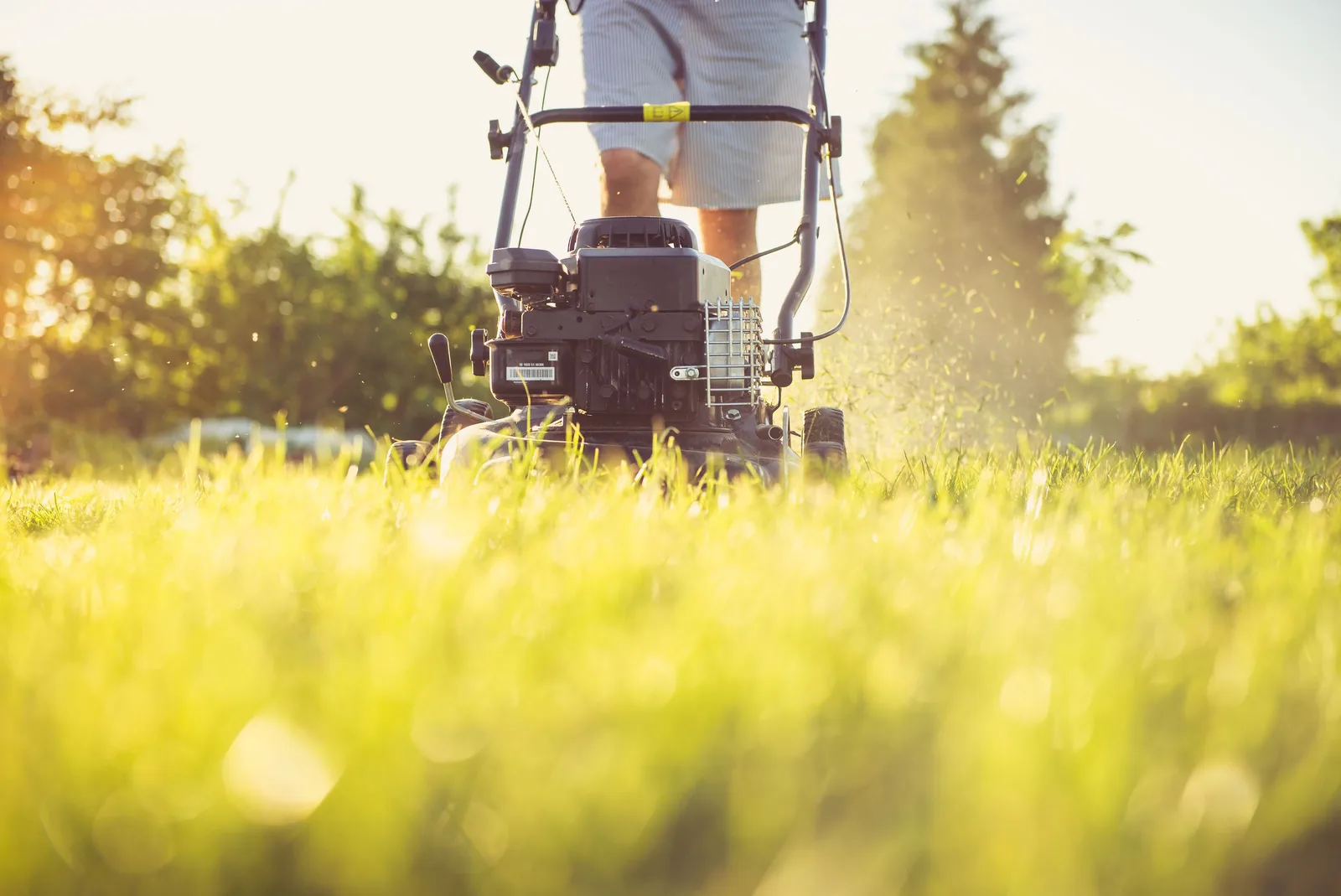Close-up of a person mowing the lawn with a gas lawn mower on a sunny summer day. Photo by Magic K on Pexels