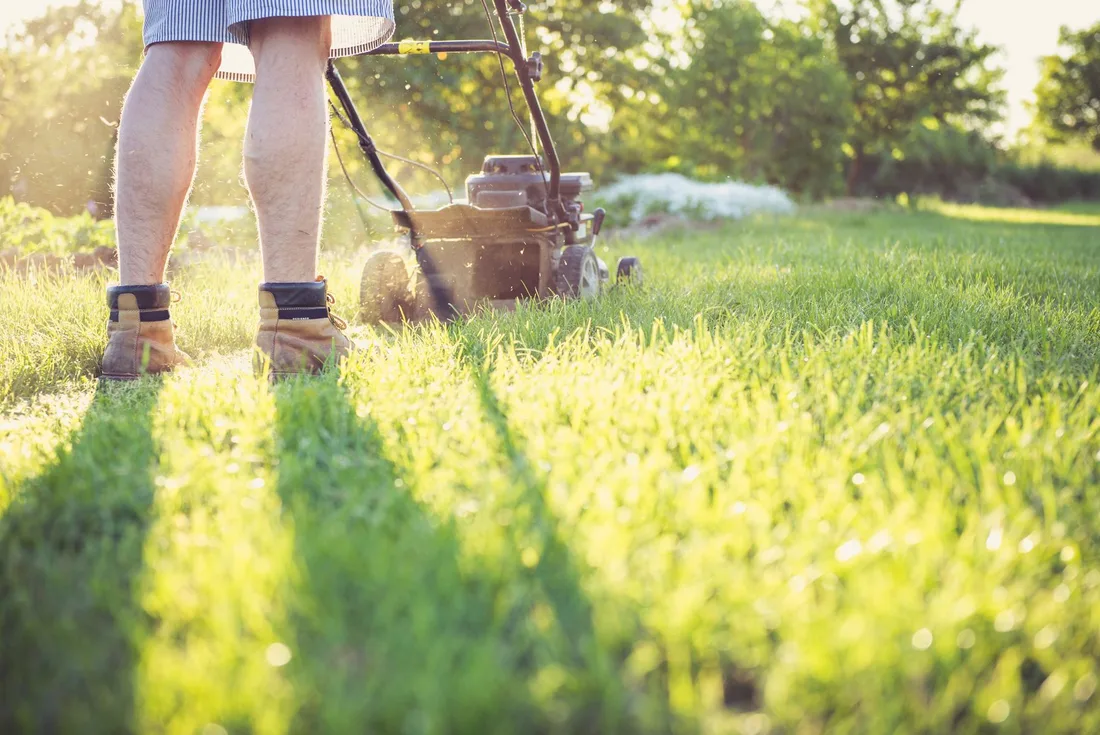 Gardener mowing lawn with a push mower on a sunny afternoon, wearing boots and shorts. Photo by Magic K on Pexels