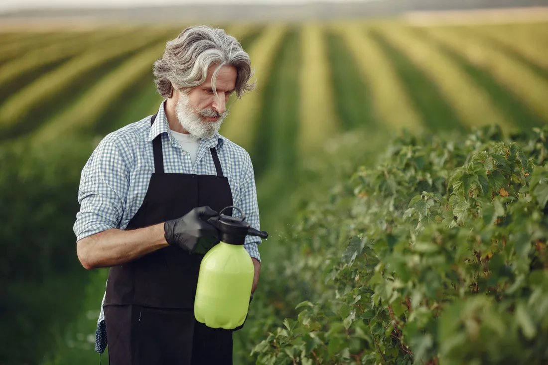 Elderly man gardening in orchard, inspecting crops with sprayer. Photo by Gustavo Fring on Pexels