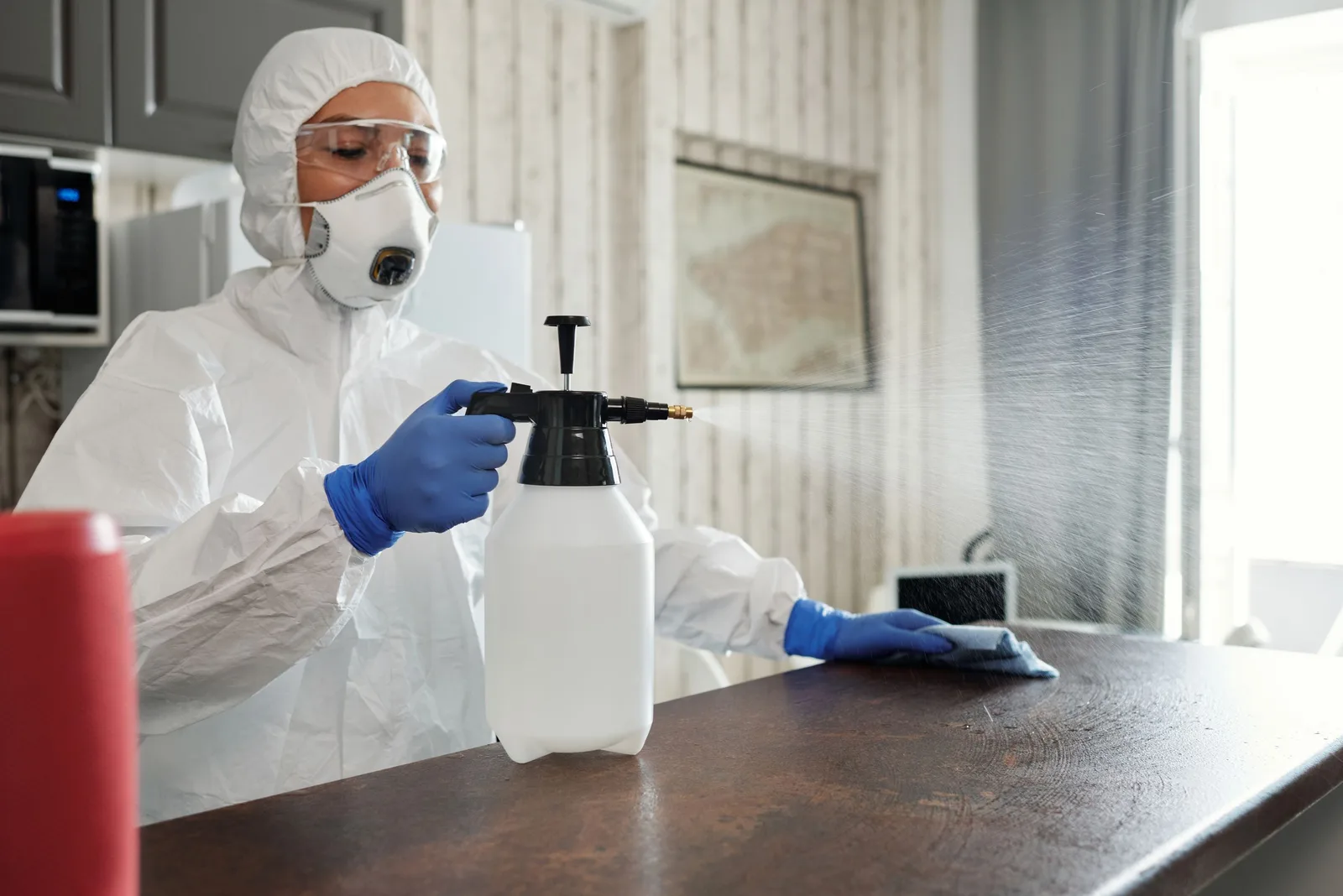 Pest control technician in protective suit and mask spraying treatment inside a home with a pump sprayer. Photo by Matilda Wormwood on Pexels
