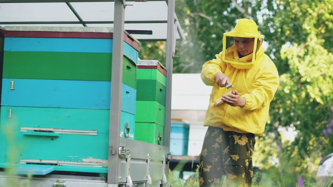 A beekeeper in a yellow suit works with beehives in a green outdoor setting. Natural lifestyle. Photo by Vitaly Gariev on Pexels