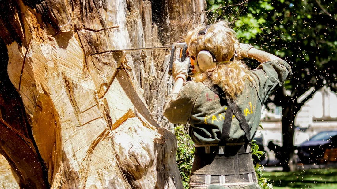 A skilled woman arborist cuts a large tree with a chainsaw outdoors, showcasing expertise in tree care. Photo by Gastón Mousist on Pexels