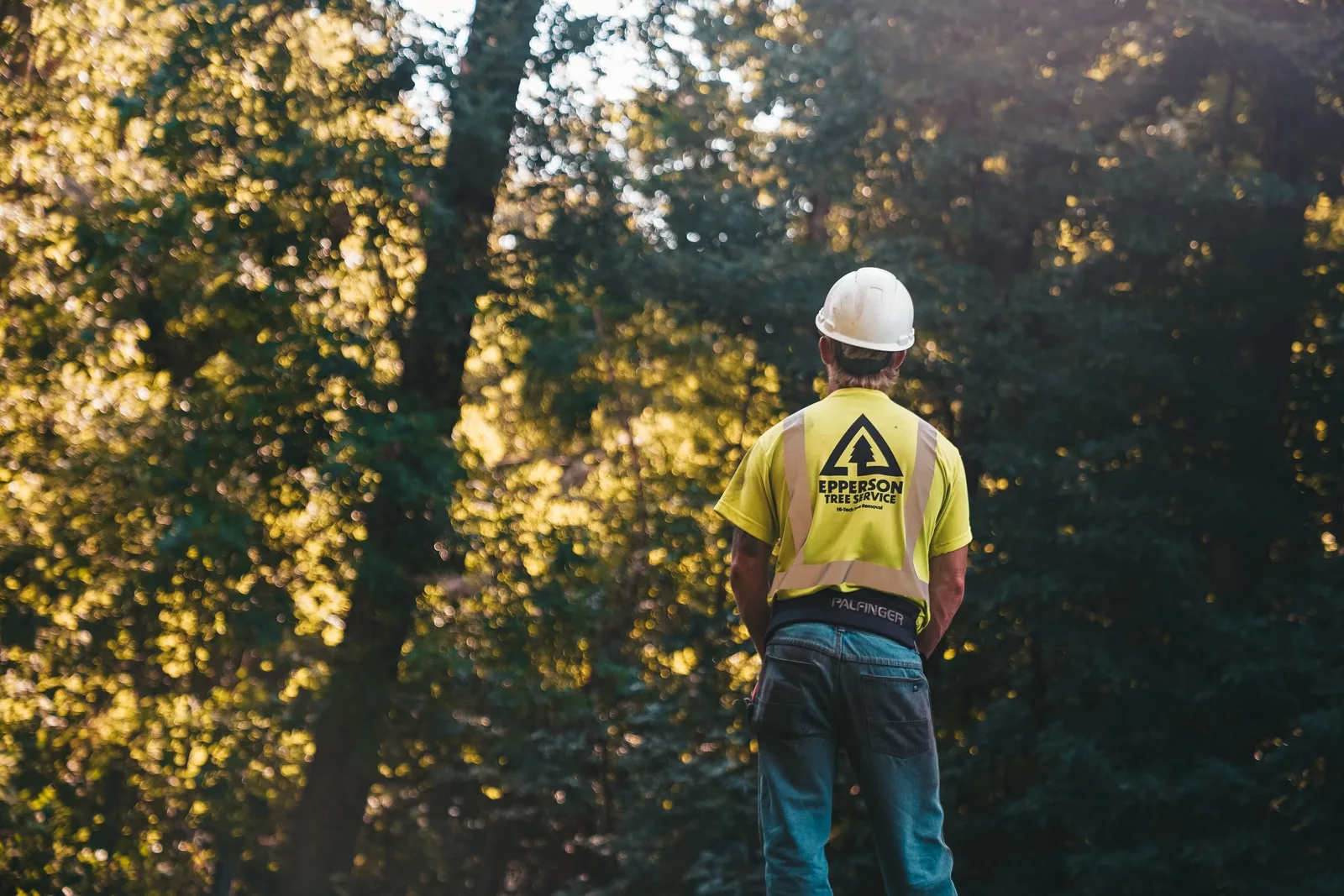 A tree service worker stands in a forest wearing a hardhat and safety vest, ready for a day of outdoor work. Photo by Grant on Pexels
