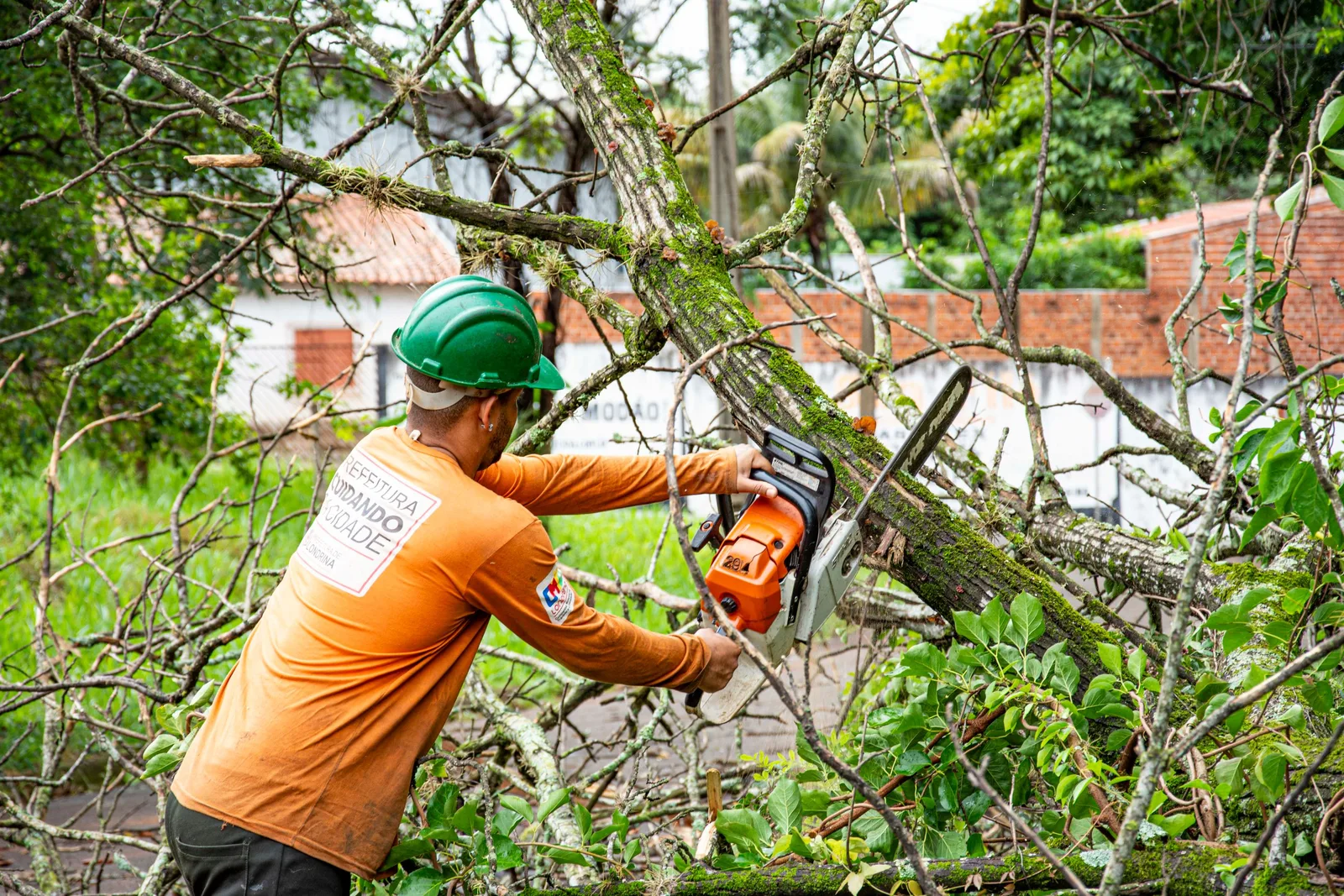 Arborist in helmet and orange shirt cutting tree branches with a chainsaw. Photo by Rodolfo Gaion on Pexels