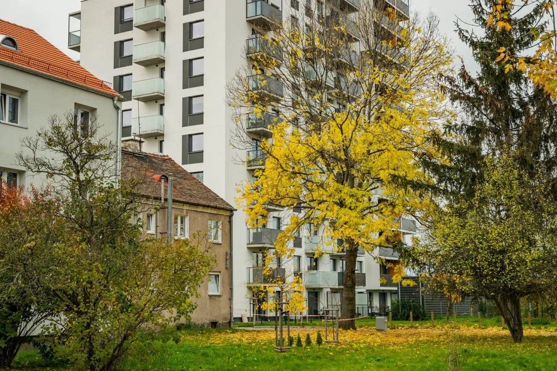 Apartment buildings with autumn trees and green lawn in a residential courtyard. Photo by SHOX ART on Pexels