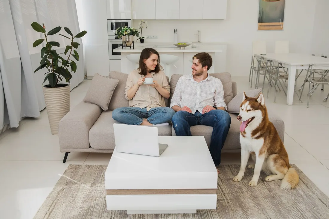 Couple relaxing on their new gray sofa in a bright living room with a dog. Photo by KATRIN  BOLOVTSOVA on Pexels